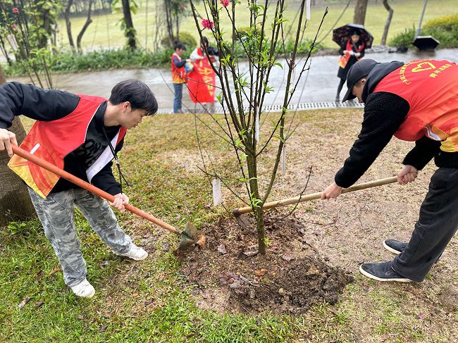 为树苗松土固基。周煜川 摄（建图）.jpg